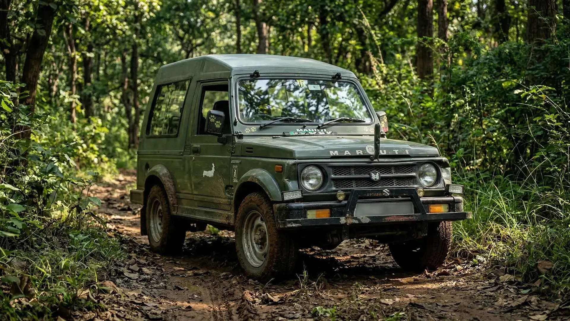 Rural Safari Experience