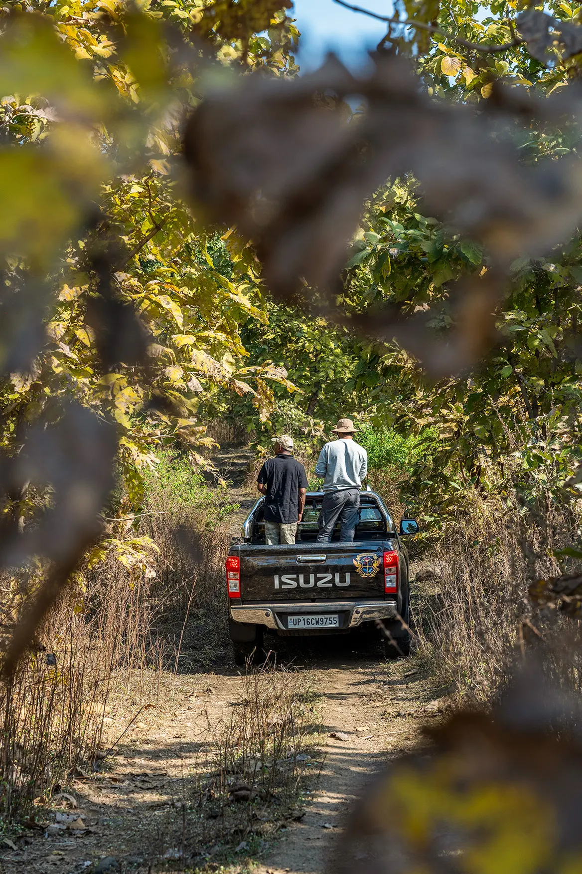 Private Safari and Forest Experiences