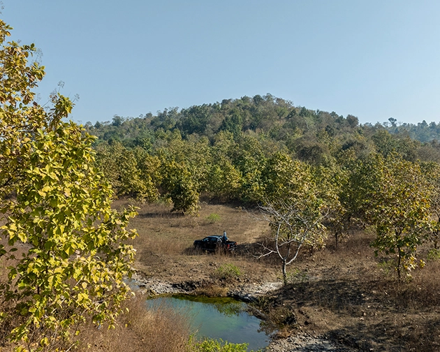 Safari and nature trails